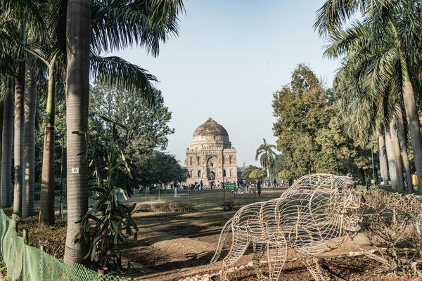 Voyage à Madagascar : Secrets d'une île fascinante
