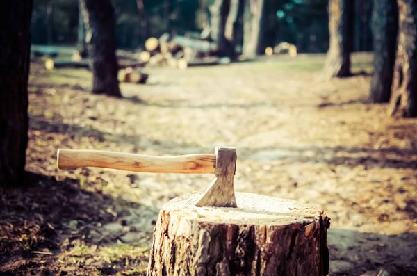 Quelles sont les compétences de bushcraft essentielles pour un camping en taïga sibérienne?