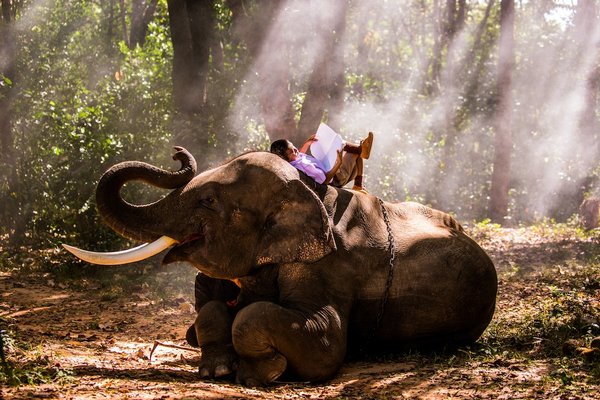 Quel est le département le plus boisé de France ?